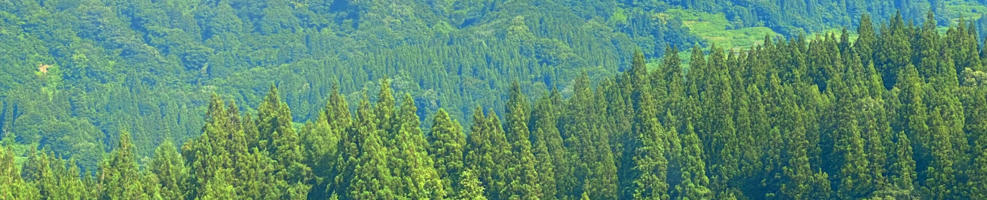 SANSANBIO(サンサンバイオ)
